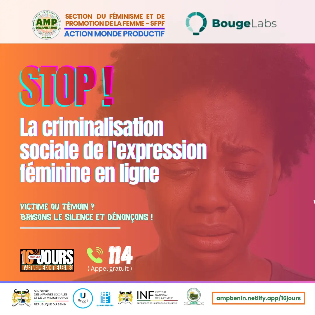 Violences numériques et contrôle social