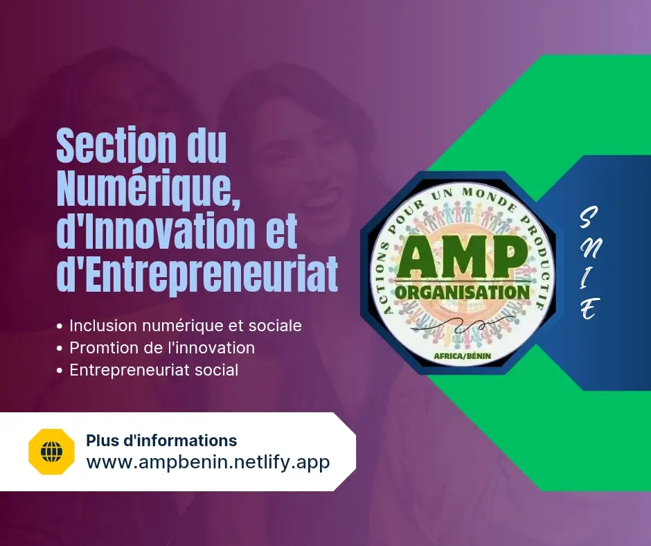 Section du Numérique, de l’Innovation et de l’Entrepreneuriat (SNIE-AMP)